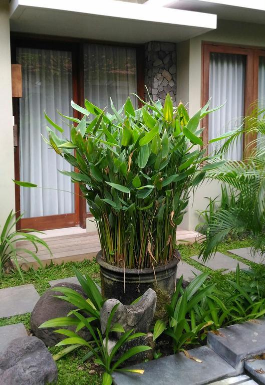 Hotel Uma Karan Kuta Lombok Zewnętrze zdjęcie