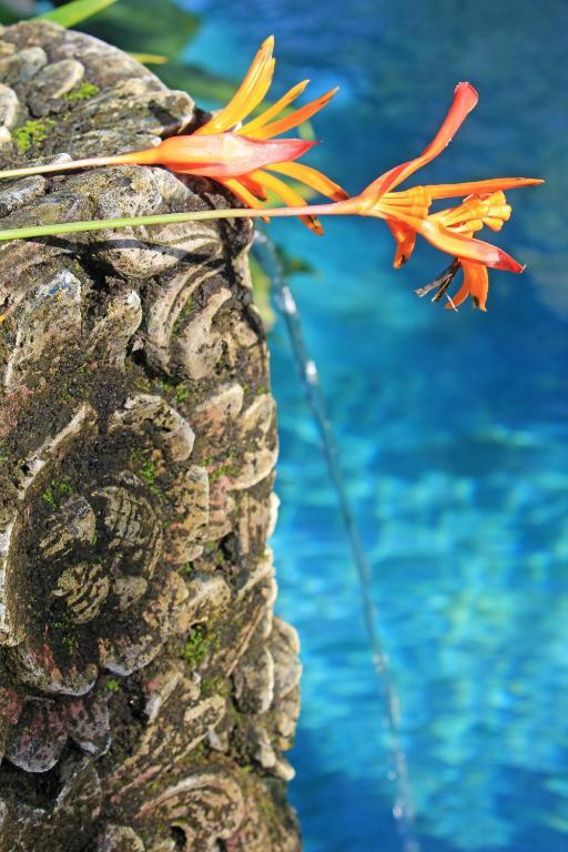Hotel Uma Karan Kuta Lombok Zewnętrze zdjęcie